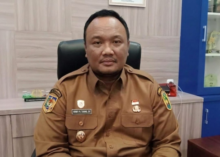 Pemkot Bengkulu Terima Sapi Kurban Presiden Berbobot 804 Kilogram untuk Iduladha 2026