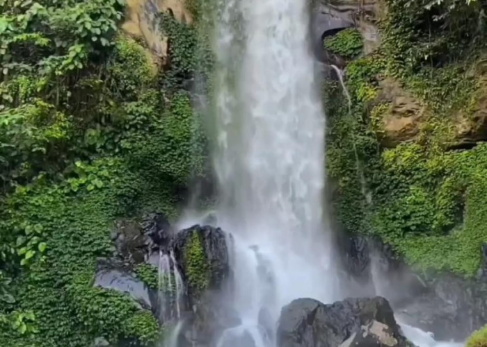 Destinasi Wisata Favorit! 2 Lokasi Air Terjun Ini Wajib Kamu Kunjungi saat Berlibur di Kepahiang