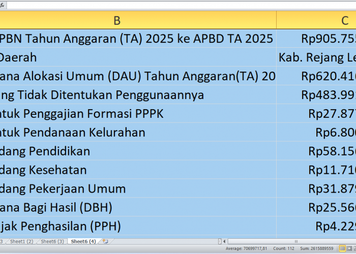 Rp905,7 Miliar dari APBN 2025 ke Rejang Lebong: Ini Rincian Alokasinya untuk Proyek Fisik