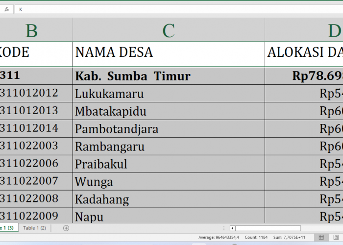 Rincian Dana Desa Tahun 2025 Tiap Desa di Sumba Timur Provinsi NTT, Total Rp128 Miliar: Ini Desa Terbesar