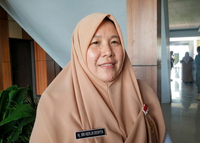 Pemprov Bengkulu Kebut Cetak Sawah Rakyat, 1.500 Hektare Lahan Baru Siap Dongkrak Produksi Padi