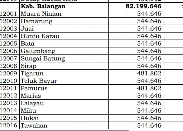 Kalimantan Selatan! Rincian Dana Desa 2024 Balangan, Cek di Sini