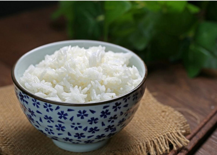 Rahasia Nasi Hokben yang Pulen: Ini Rekomendasi Beras Pulen Serupa