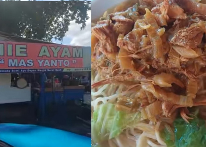 Coba Mie Ayam Mas Yanto, Kuliner Nikmat di Kota Bengkulu yang Menggoda