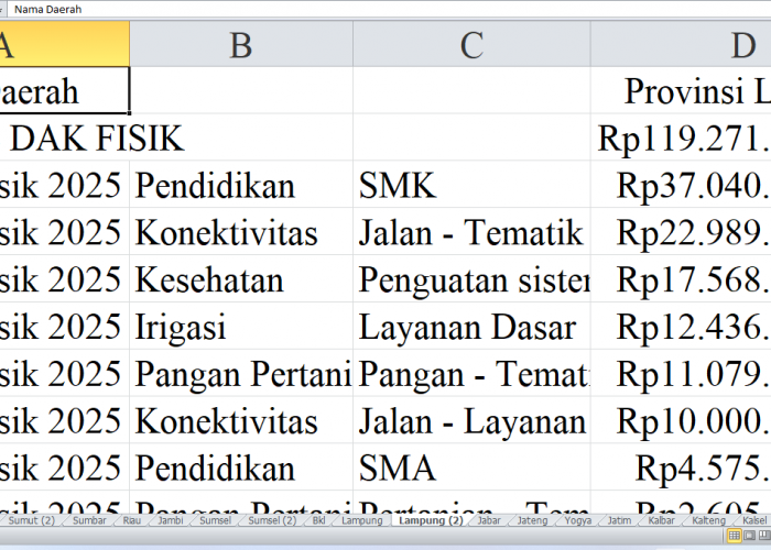 Rincian Pagu Dana DAK Fisik 2025 untuk Lampung: Provinsi, Lampung Barat, dan Lampung Selatan