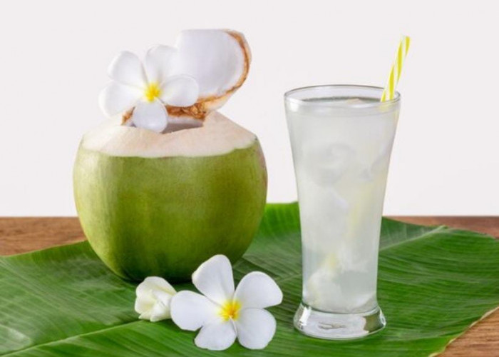 Alasan Mengapa Minum Air Kelapa Saat Berbuka Puasa Sangat Dianjurkan, Terhidrasi dan Bugar 