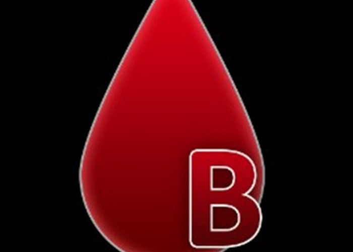Golongan Darah Langkah Hingga Rentan Penyakit, Ini Fakta Unik Golongan Darah B