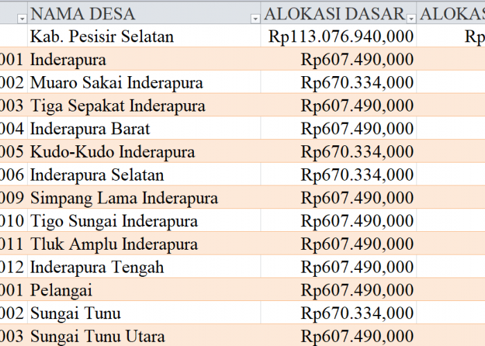 Tabel Rincian Dana Desa 2024 Kabupaten Pesisir Selatan, Sumatera Barat: Ini Lengkapnya