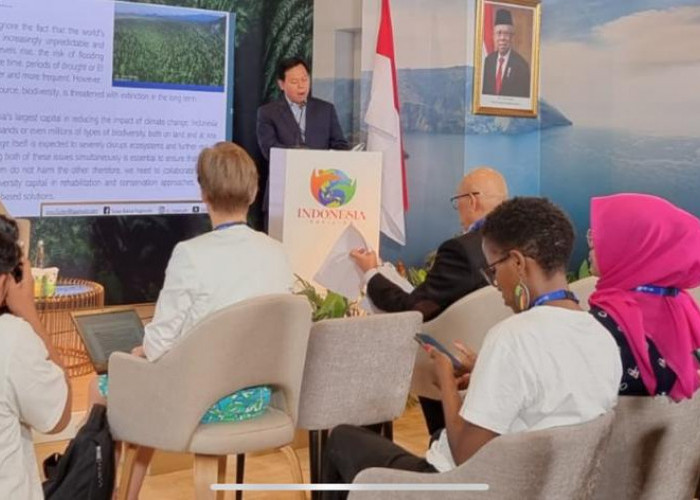 Wakil Ketua DPD RI Dorong Pemimpin Global Jalin Kerja Sama Konservasi dan Rehabilitasi Lingkungan