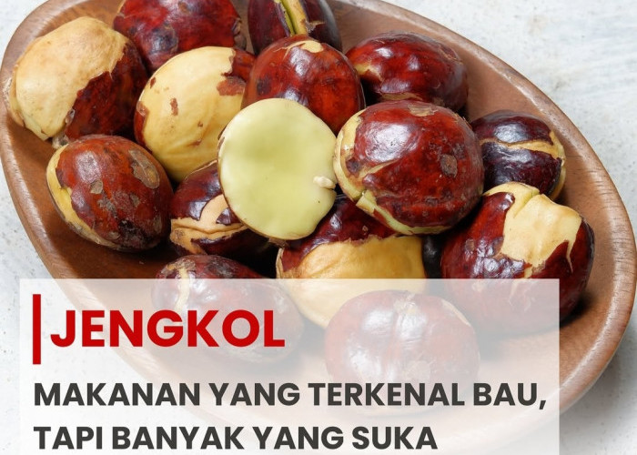 Ternyata Ini Keunikan Jengkol, Makanan dengan Aroma Menyengat yang Menggugah Selera