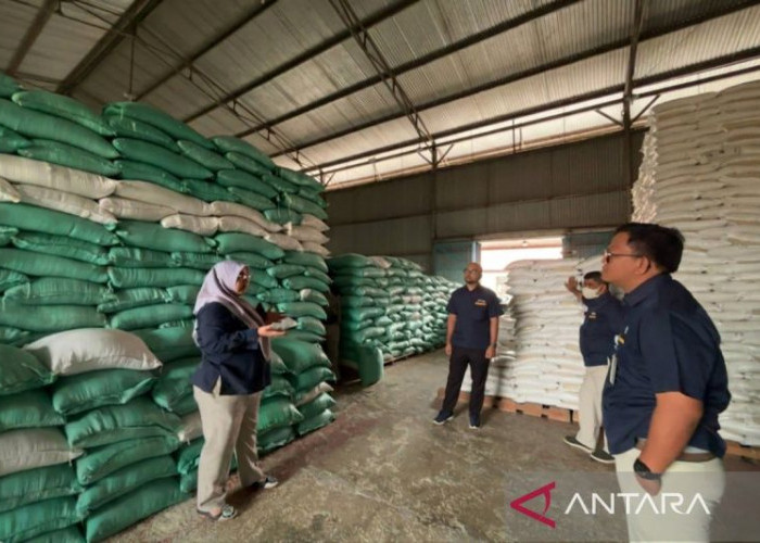 Bulog Siapkan 1.600 Ton Beras untuk Rejang Lebong, Kepahiang dan Lebong