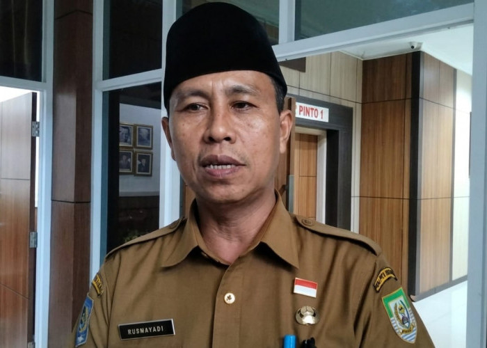 4.296 PPPK Paruh Waktu Pemprov Bengkulu Segera Dapat SK Perpanjangan, 47 Tak Masuk Daftar