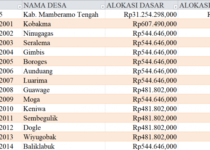 Tabel Rincian Dana Desa 2024 Kabupaten Mamberamo Tengah, Papua Pegunungan: Ini Lengkapnya