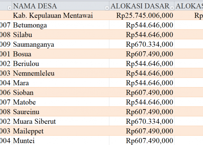 Tabel Rincian Dana Desa 2024 Kabupaten Kepulauan Mentawai, Sumatera Barat: Ini Lengkapnya