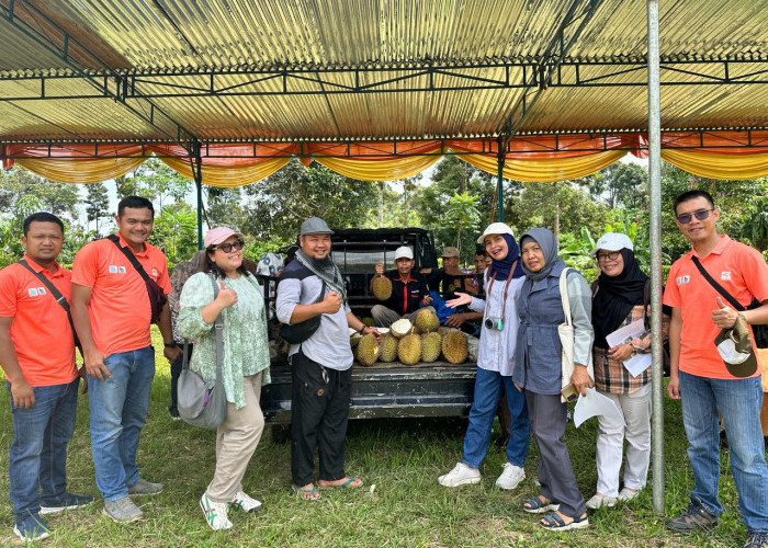 Festival Durian Lokal Rejang Lebong: Buruan Daftar, Gratis