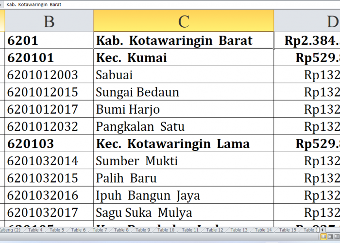 Desa di Kabupaten Kotawaringin Barat, Kotawaringin Timur, dan Kapuas, Kalimantan Tengah, Raih Dana Insentif De