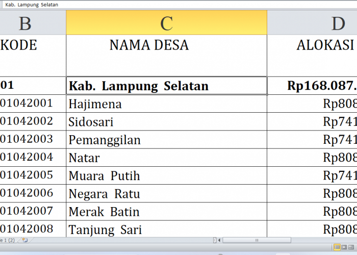 Berapa Dana Desa untuk Desa di Lampung Selatan Tahun 2025? Rp258,77 Miliar, Berikut Rincian Lengkapnya