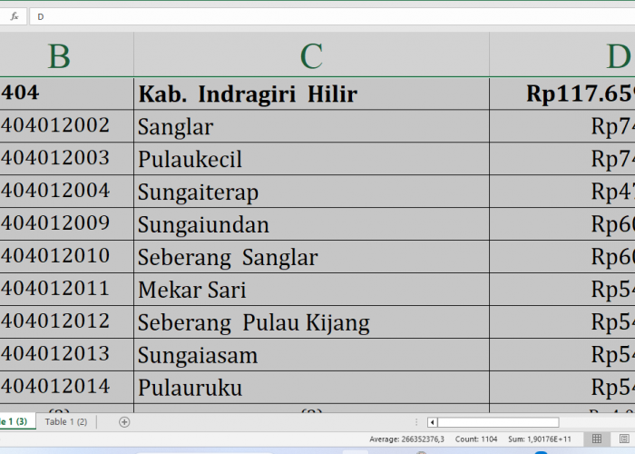 Berapa Rincian Dana Desa 2025 untuk Desa di Indragiri Hilir Provinsi Riau? Rp182,3 Miliar, Berikut Lengkapnya