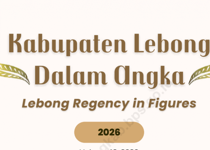 BPK Temukan Salah Anggaran Rp13,7 Miliar di Pemkab Lebong, Disdik dan RSUD Disorot