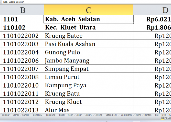 50 Desa di Kabupaten Aceh Selatan Raih Dana Insentif Desa Tahun 2024, Ini Lengkapnya