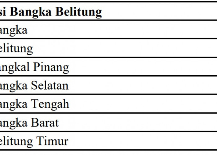 Jatah BOK Puskesmas di Bangka Belitung hanya 48 Miliar: KB 20 Miliar