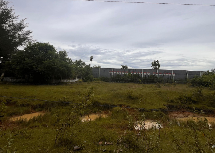 Terbengkalai, Stadion Padang Panjang Bengkulu Selatan Jadi Semak Belukar dan Kubangan Kerbau