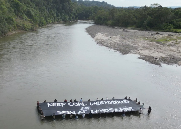 Kanopi Kritik Rencana Lelang 3 Blok Tambang Batubara di Bengkulu