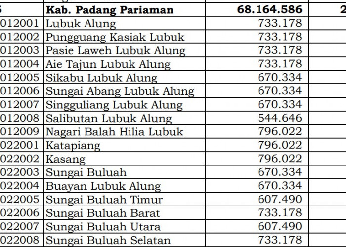 Wow! Pembagian Dana Desa 2024 Padang Pariaman, Sumatera Barat: 39 Desa 1 Miliar