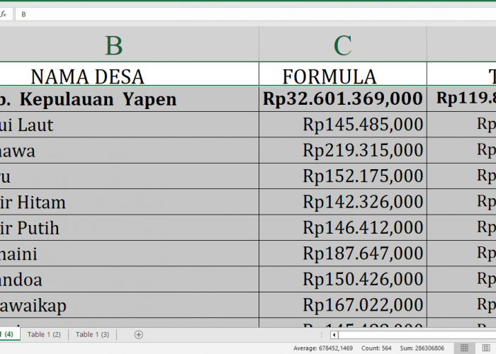 Dana Desa 2025 Capai Rp119,8 Miliar: Kado Istimewa untuk Desa di Kepulauan Yapen Provinsi Papua