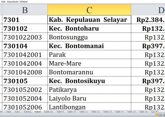 Desa di Kabupaten Kepulauan Selayar, Bulukumba, Bantaeng dan Jeneponto Raih Dana Insentif Desa Tahun 2024