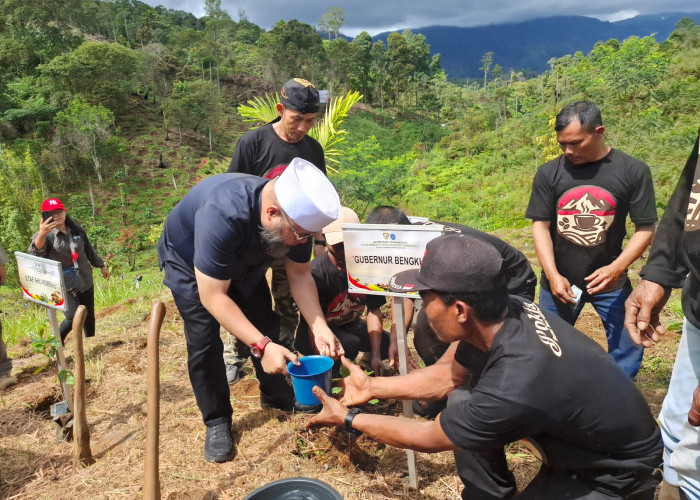 Kopi Bumi Merah Putih Resmi Diluncurkan, Gubernur Helmi Hasan Ikut Tanam 45 Ribu Bibit di Lebong