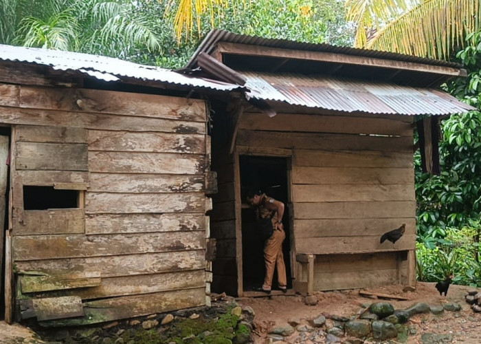 Dinsos Seluma Siapkan 15 Ribu Stiker Keluarga Miskin untuk Validasi Penerima Bansos Mulai 2026