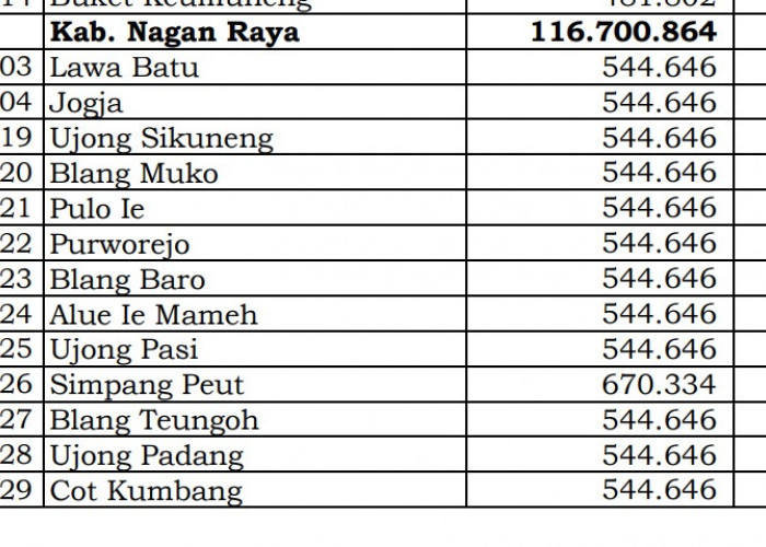Dana Desa Tiap Desa 2024 di Nagan Raya, Aceh: 6 Desa 1 Miliar