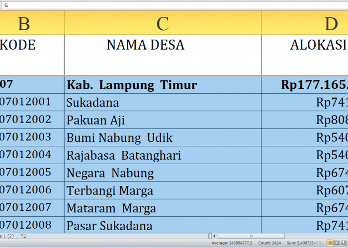 Berapa Dana Desa untuk Desa di Lampung Timur Tahun 2025? Rp265,5 Miliar, Berikut Rincian Lengkapnya