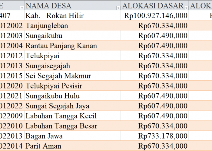 Tabel Rincian Dana Desa 2024 Kabupaten Rokan Hilir, Lampung: Ini Lengkapnya