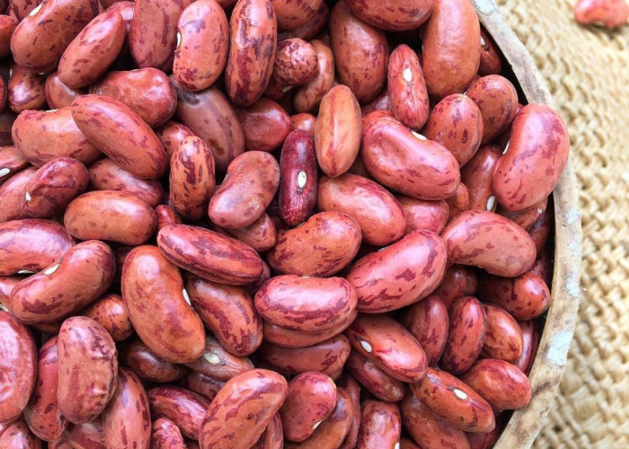 Jarang Diketahui! Ini 6 Manfaat Kacang Merah Bagi Kesehatan, Salah Satunya Menjaga Kesehatan Jantung