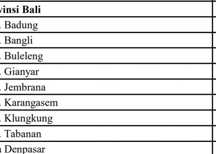 Pagu Dana Desa (DD) Tahun 2024 untuk Provinsi Bali: Terbesar Buleleng dan Tabanan