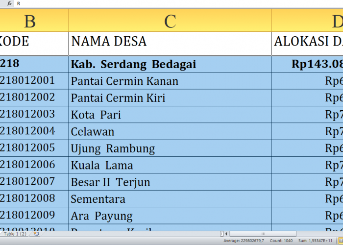 Dana Desa 2025 Serdang Bedagai Rp208,3 miliar, Berikut Rincian per Desa: Simak yang Terbesar