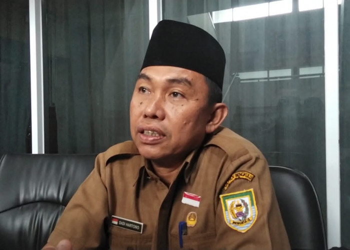 Sebanyak 50 Hewan Kurban Disiapkan Pemprov Bengkulu untuk Iduladha 2026