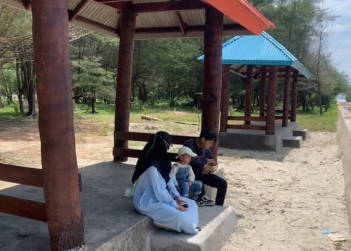 Pantai Panjang Ditata, Pemkot Bengkulu Sediakan Gazebo Gratis untuk Wisatawan