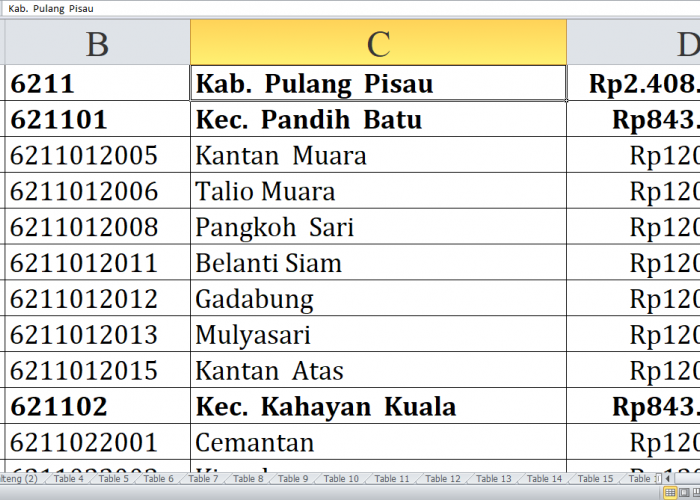 Desa di Kabupaten Pulang Pisau, Murung Raya, dan Barito Timur, Kalimantan Tengah, Raih Dana Insentif Desa 2024