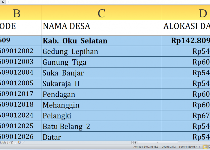 Dana Desa 2025 Oku Selatan Rp208,1 miliar, Berikut Rincian per Desa: Simak yang Terbesar