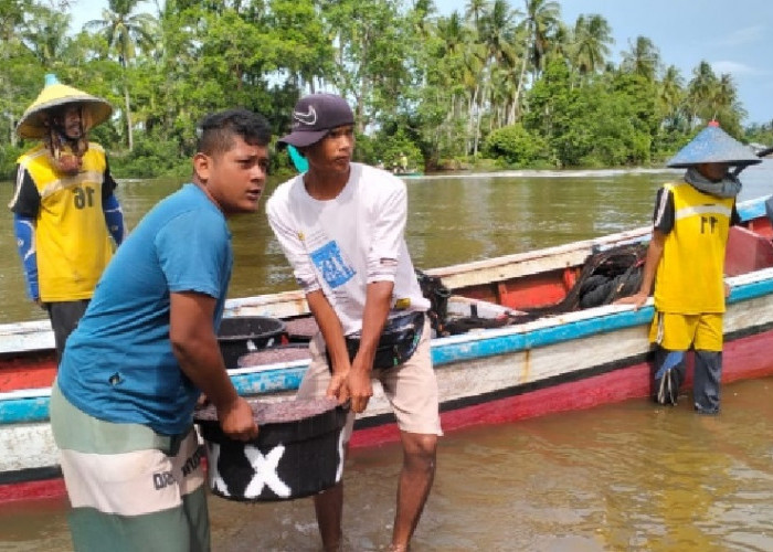 Jelang Idul Adha, Nelayan Mukomuko Ketiban Rezeki 'Banjir' Ikan Mungkus