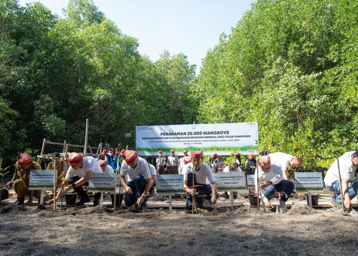 Yayasan AHM Tanam Puluhan Ribu Mangrove untuk Peringati Hari Lingkungan Hidup Sedunia
