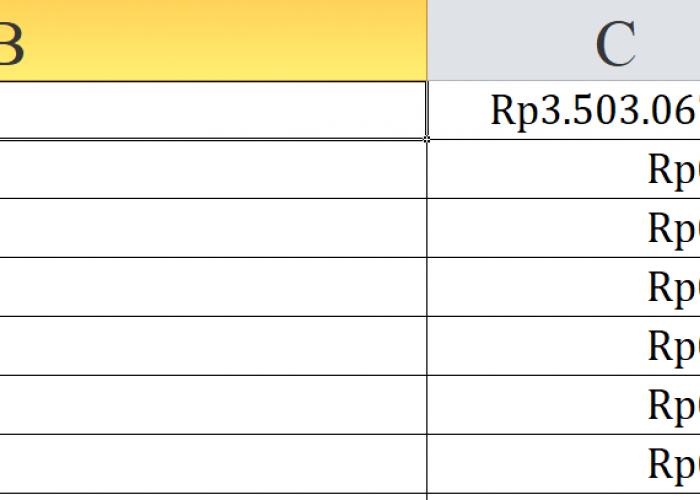 Bantuan Operasional Keluarga Berencana Gorontalo Rp27,6 Miliar, Berikut Rincian per Daerah