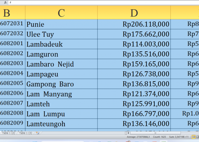 Cek Alokasi untuk Desa Anda yang berawalan K-L! Rp422,5 Miliar Dana Desa Mengalir ke Aceh Besar Provinsi Aceh