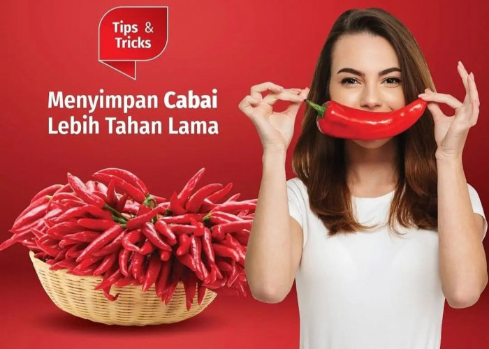 Tips Efektif Menyimpan Cabai Agar Tahan Hingga 2 Bulan, Begini Caranya