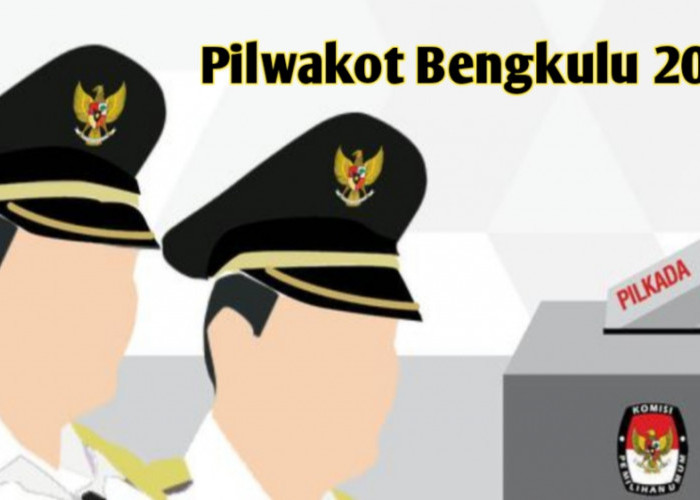 Muncul Duet Pasangan Dani-Suimi di Pilwakot Bengkulu 2024, 4 Kandidat Koalisi 