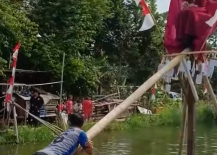 Viral! Panjat Pinang dengan Hadiah Janda Muda Bikin Heboh Netizen