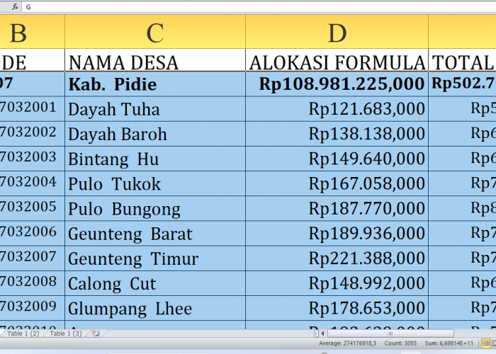 Detail Dana Desa 2025 di Pidie Provinsi Aceh: Rp502,7 Miliar Dibagi untuk Desa! Cek Desa A-D